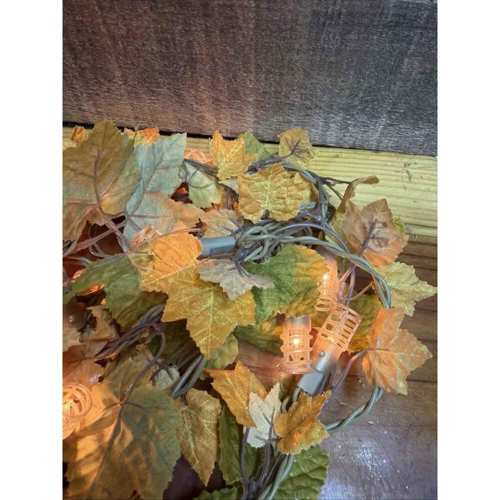 Unbranded fall warm